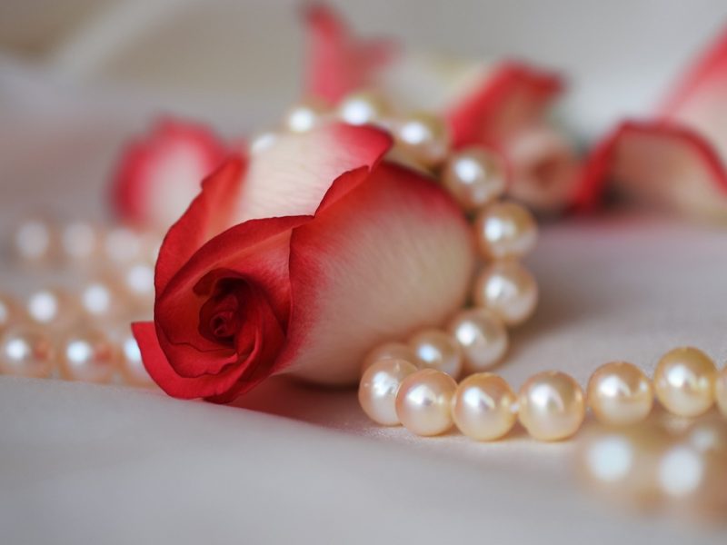rose, pearls, wedding-3030462.jpg